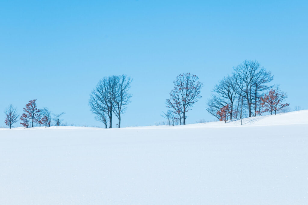 11月の北海道の気候と服装