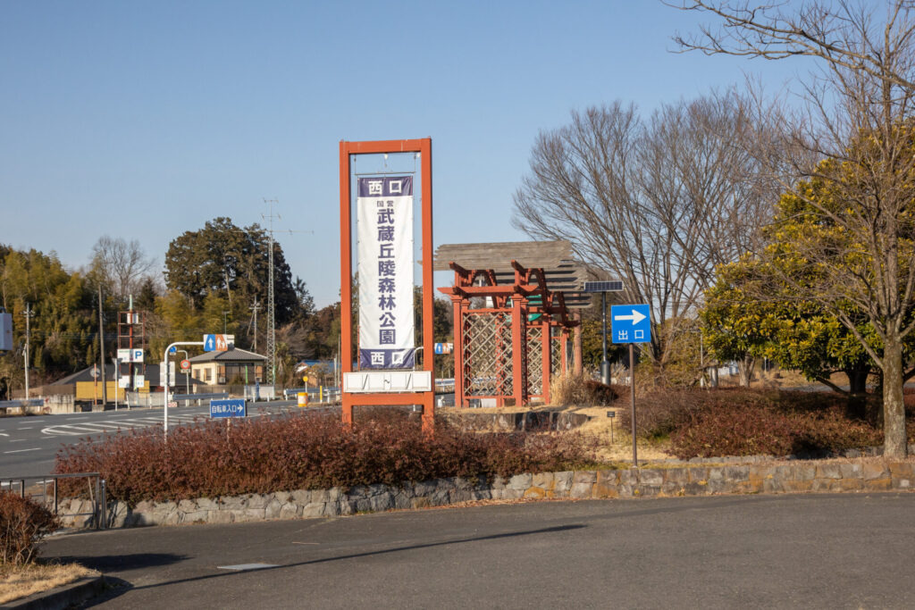 武蔵丘陵森林公園の様子