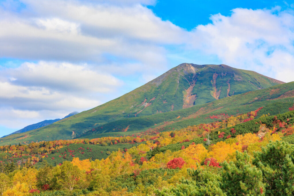 富良野の秋の十勝岳望岳台