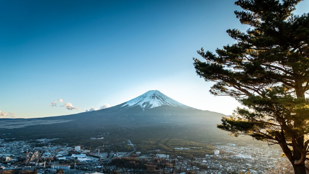 山中湖のおすすめ観光スポットとして知られる山中湖花の宮公園