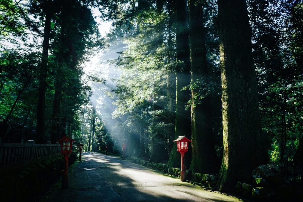 箱根神社周辺の景色