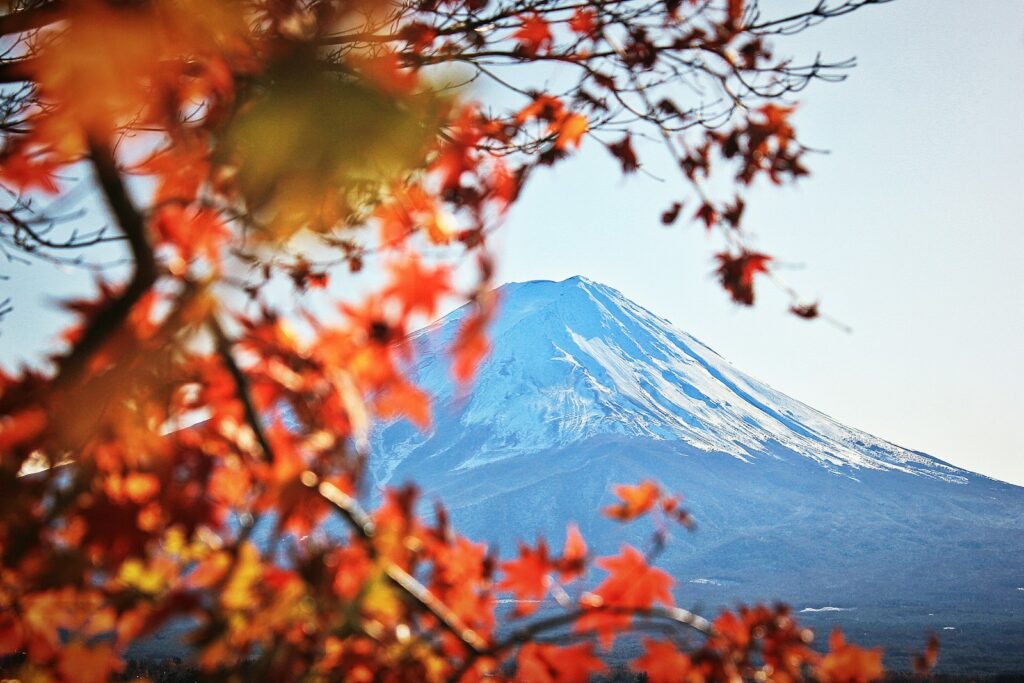 紅葉に映える富士山