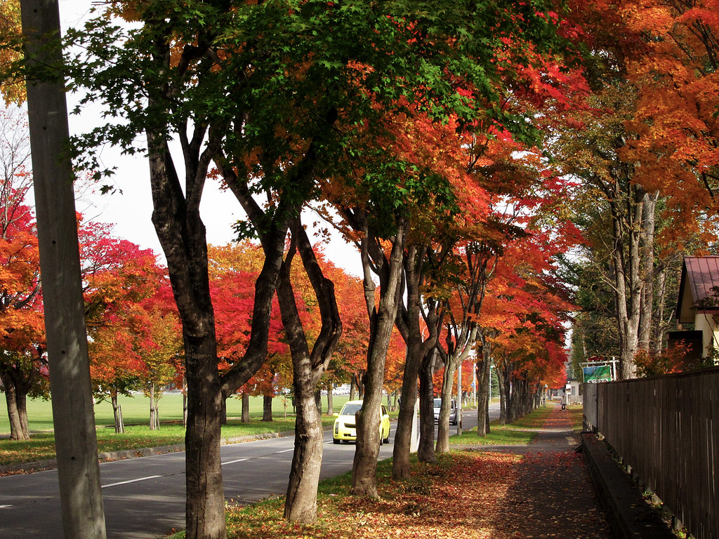 帯広緑ヶ丘公園