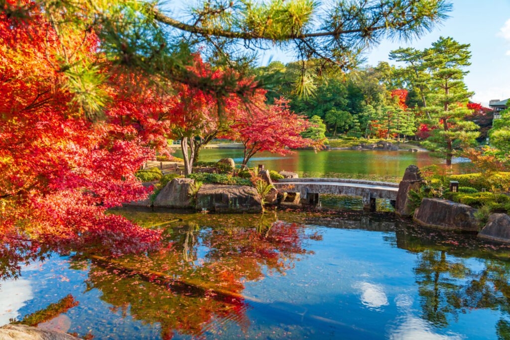 11月の名古屋観光で行く徳川園