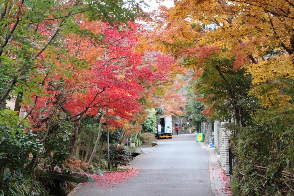 紅葉スポットのイメージ