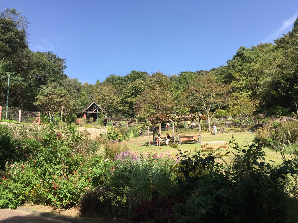 自然と絶景スポット神戸布引ハーブ園