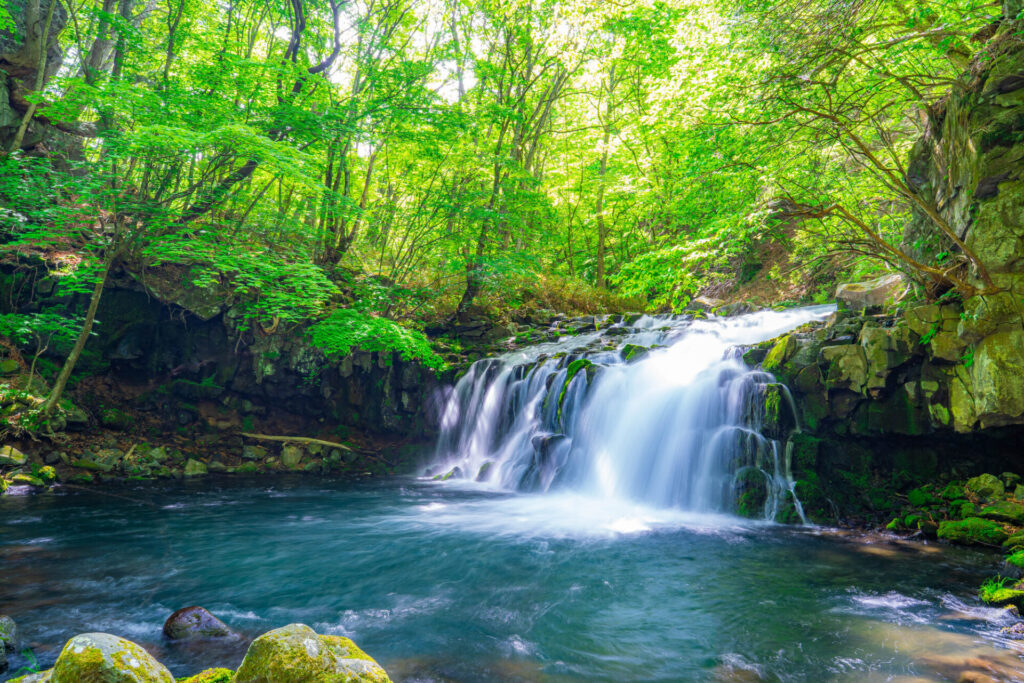 北八ヶ岳を水源とする美しい滝、蓼科大滝