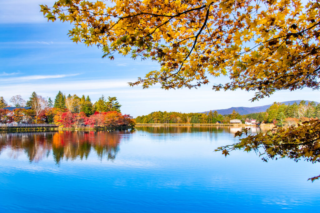 散策しながら紅葉を楽しめる蓼科湖