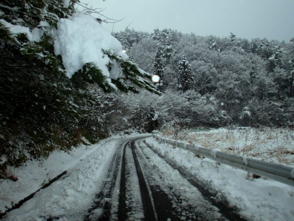 12月の広島は、特別な体験が目白押しです