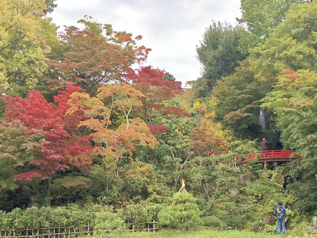 藤田記念庭園は、弘前公園に隣接する美しい日本庭園