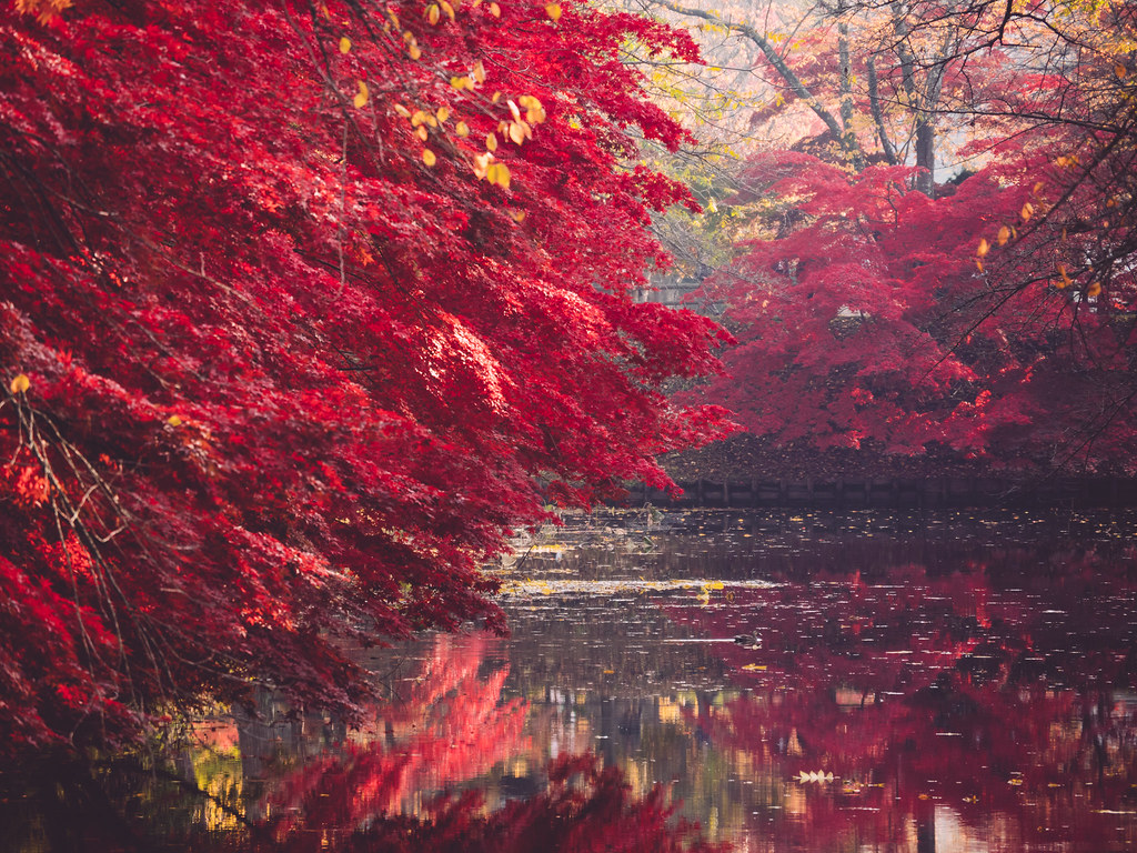 弘前の紅葉スポット