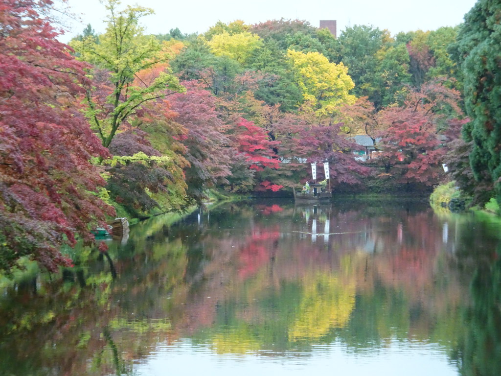 11月の弘前で充実した旅行を