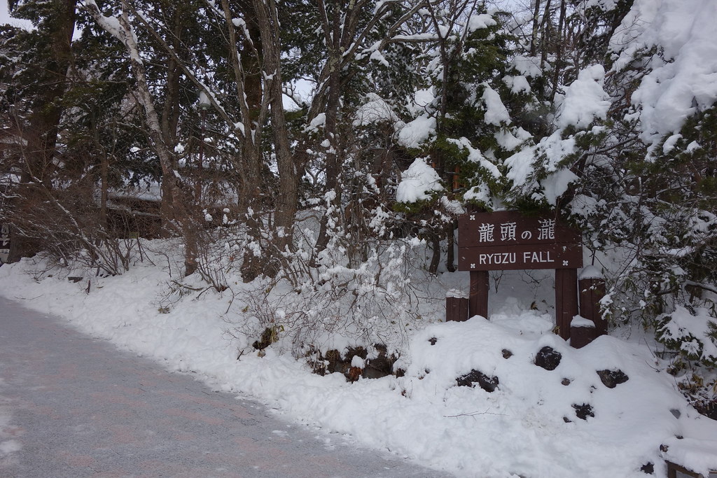 滝の周りが雪に覆われ、幻想的な風景が広がります