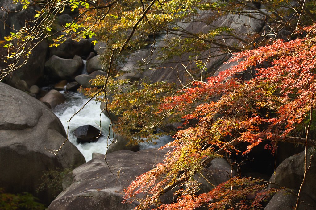 紅葉の季節の昇仙峡の風景