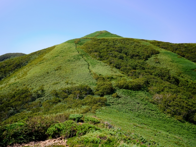 緑が生い茂る礼文島