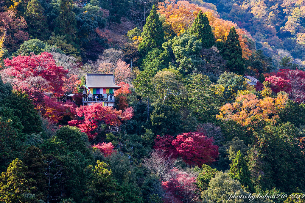 大悲閣 千光寺から嵐山の紅葉を眺める