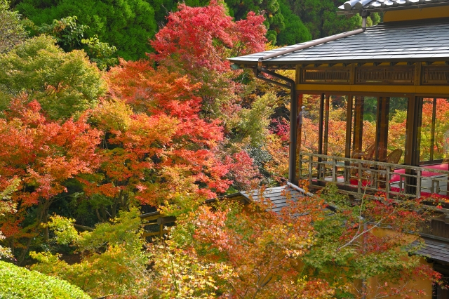 11月の佐賀観光で人気の環境芸術の森