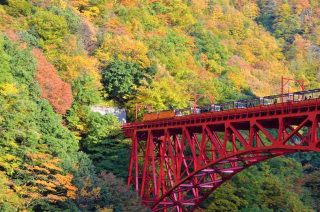 紅葉が美しい黒部峡谷トロッコ電車