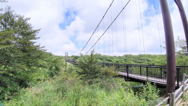 那須高原の自然を満喫「つつじ吊り橋」