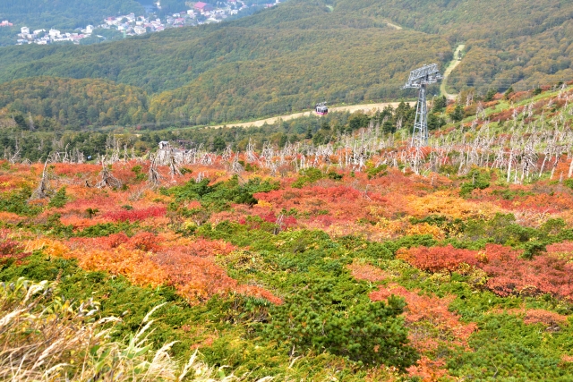 蔵王ロープウェイと赤く色づいた紅葉