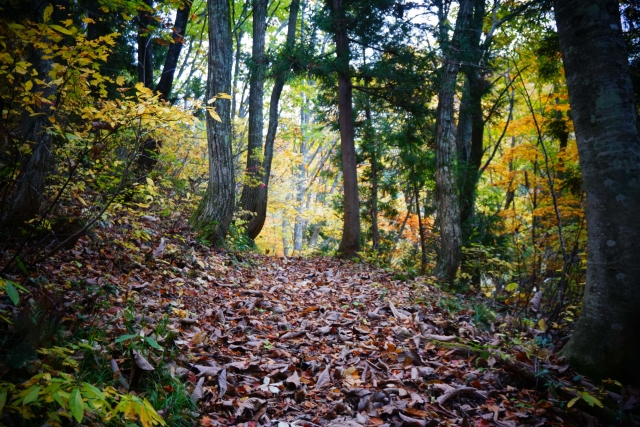 紅葉が映える11月の米沢を満喫