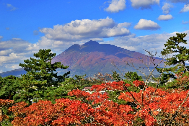 紅葉の岩木山