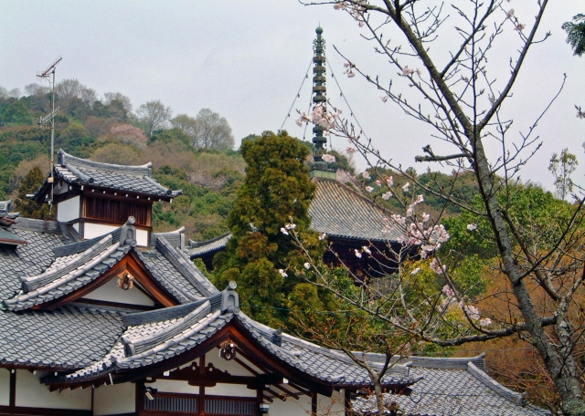 和歌山県岩出市に位置する歴史的な寺院根来寺