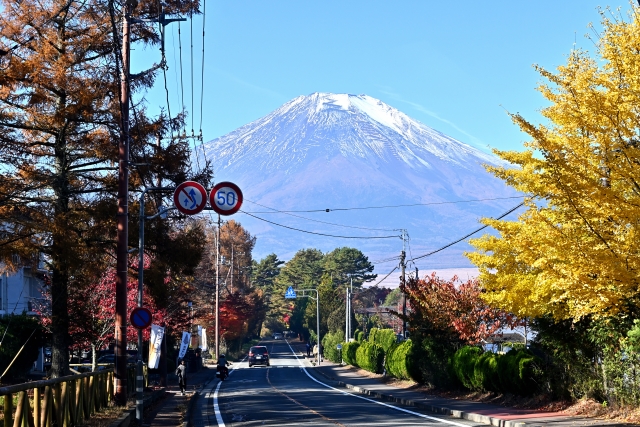 山梨の11月に行きたい観光スポット