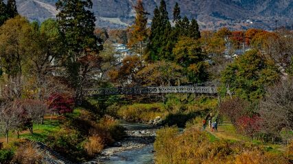 秋の大出公園で紅葉を眺める