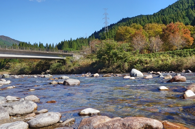 清流板取川の紅葉