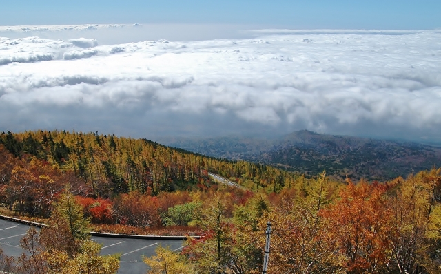 紅葉の富士山スカイライン