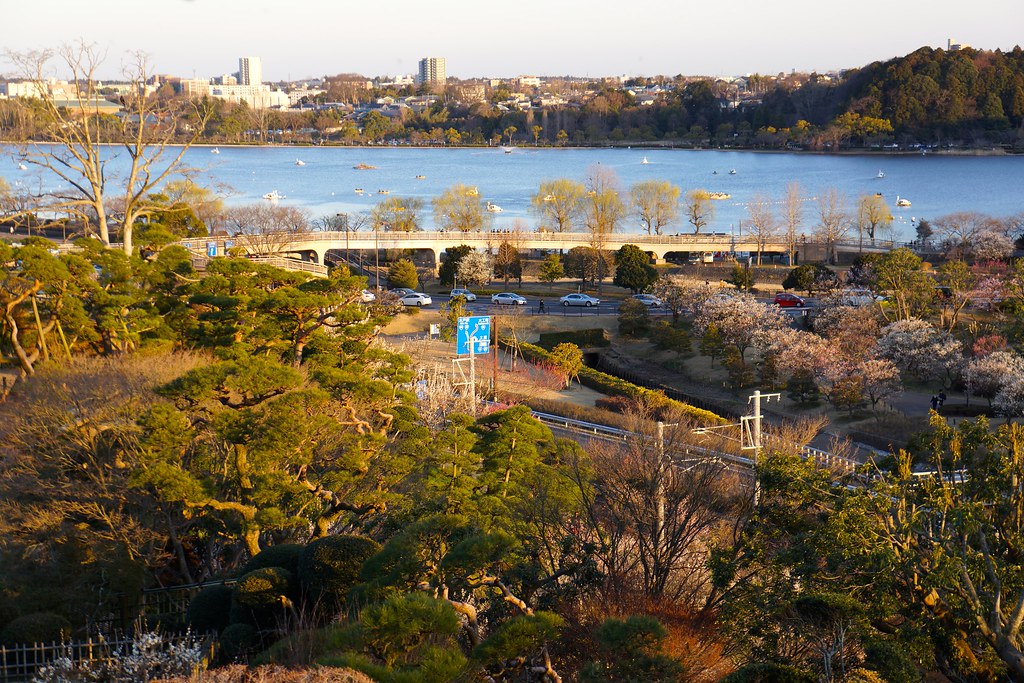 水戸市のきれいな庭園を持つ偕楽園