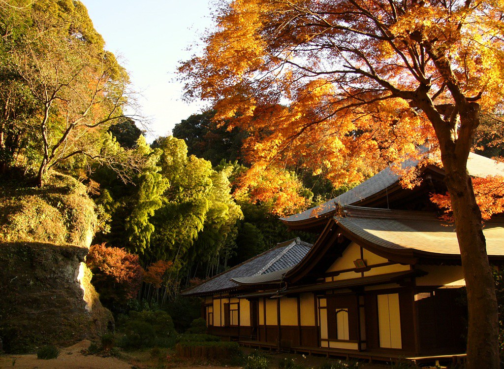 鎌倉時代の唯一の庭園が残されている瑞泉寺