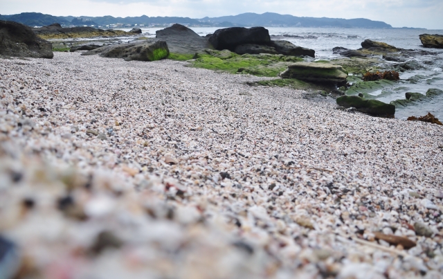 自然豊かな沖ノ島