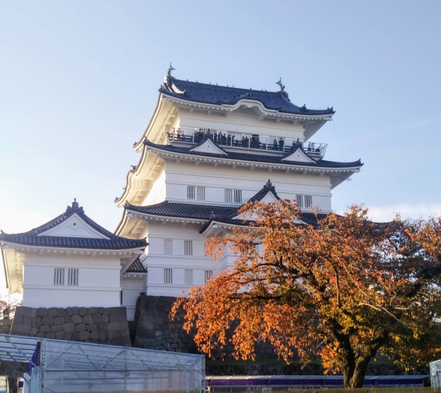 11月に紅葉が見頃になる小田原城