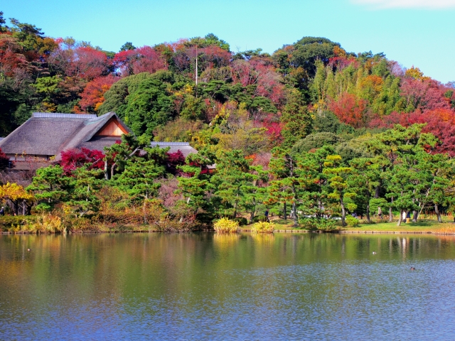 神奈川の三溪園の美しい紅葉