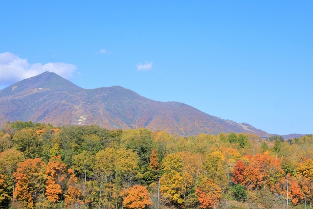 ニセコアンヌプリの美しい紅葉