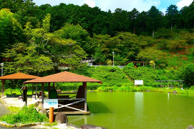 四季折々の風景が楽しめる浜松市郊外にある奥山高原