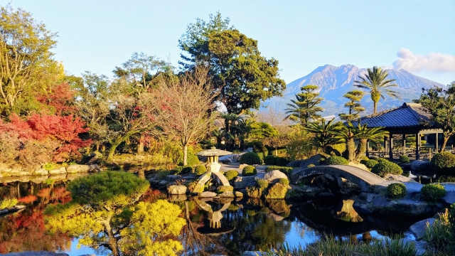 紅葉が見頃の仙巌園