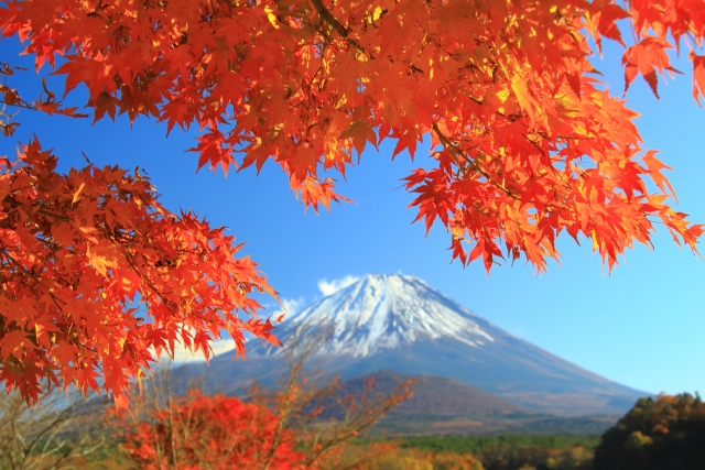 精進湖の絶景を堪能する