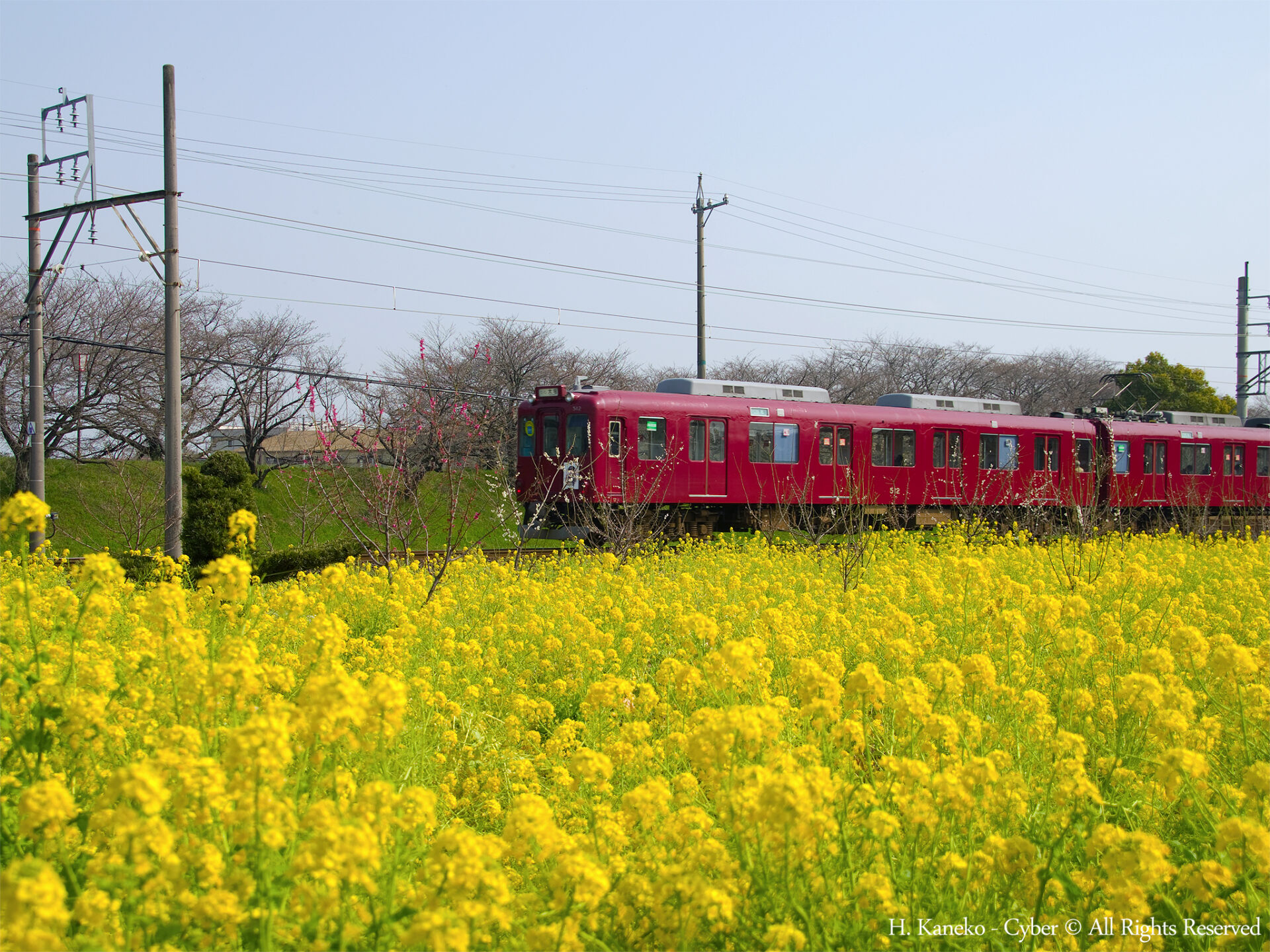 南房総を満喫する風景