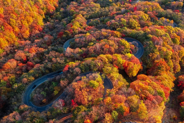 日光の紅葉がきれいないろは坂