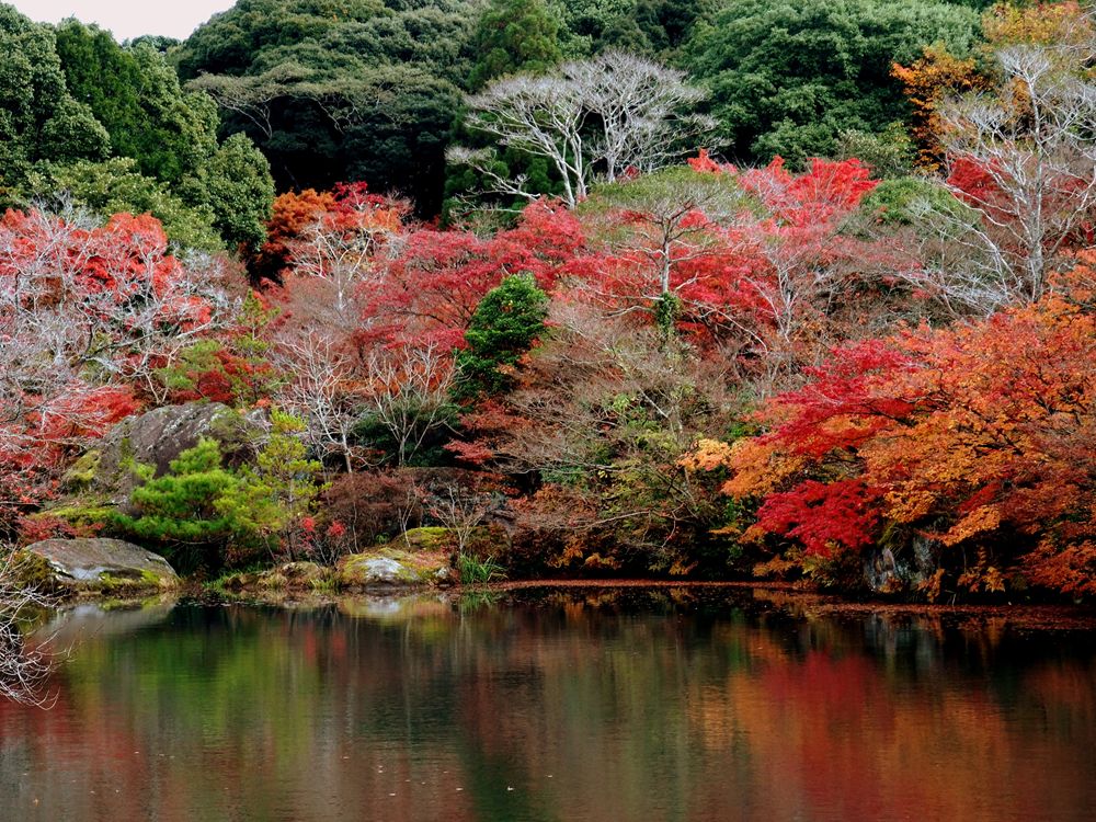 佐賀観光で行きたい御船山楽園の紅葉　