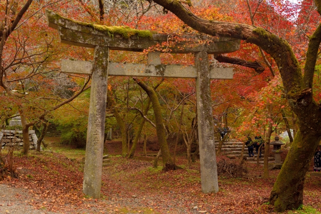 秋月城下跡の紅葉