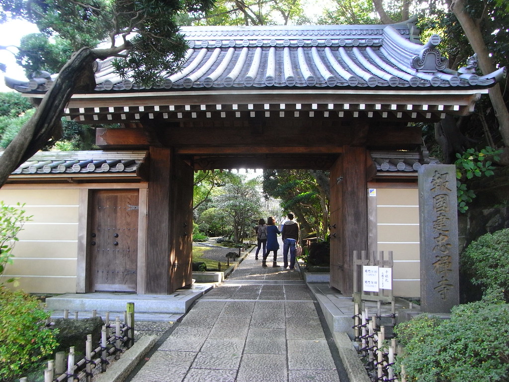 美しい大銀杏の木がある報国寺