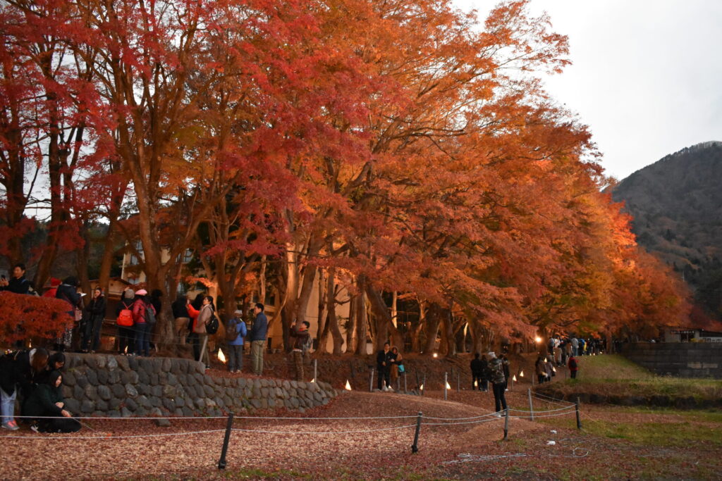 富士河口湖紅葉まつり　山梨