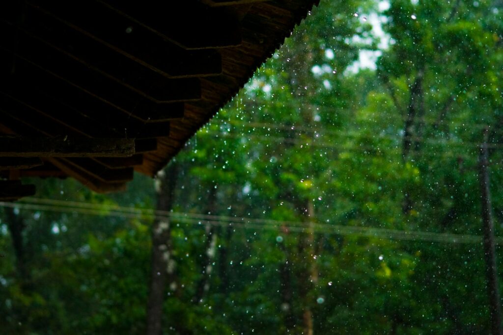 島に降る雨