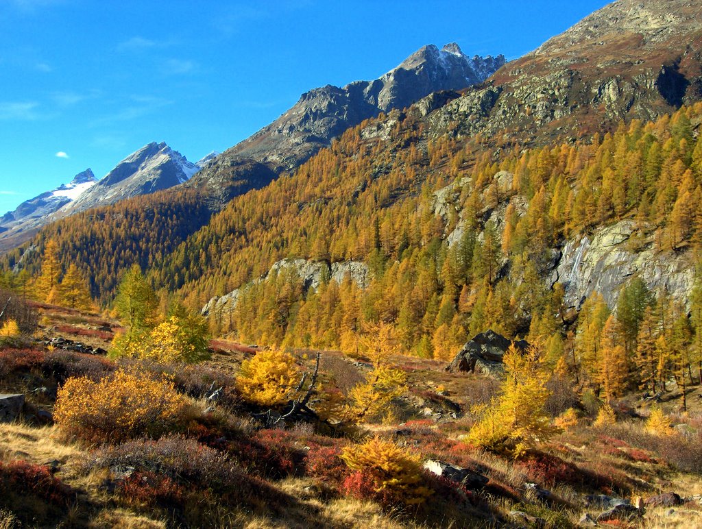 Lötschental　レッチェンタールの紅葉　スイス