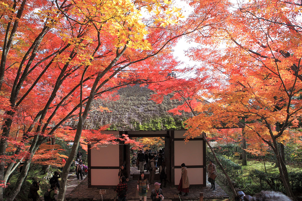 嵐山の紅葉スポット・常寂光寺