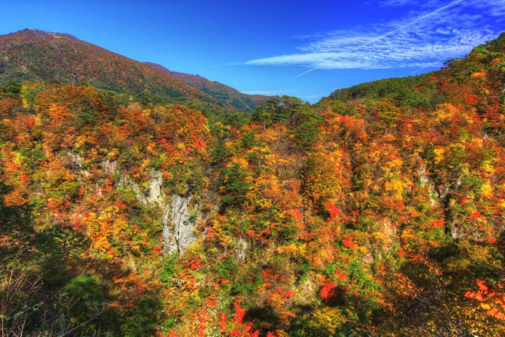 宮城県の鳴子峡の紅葉